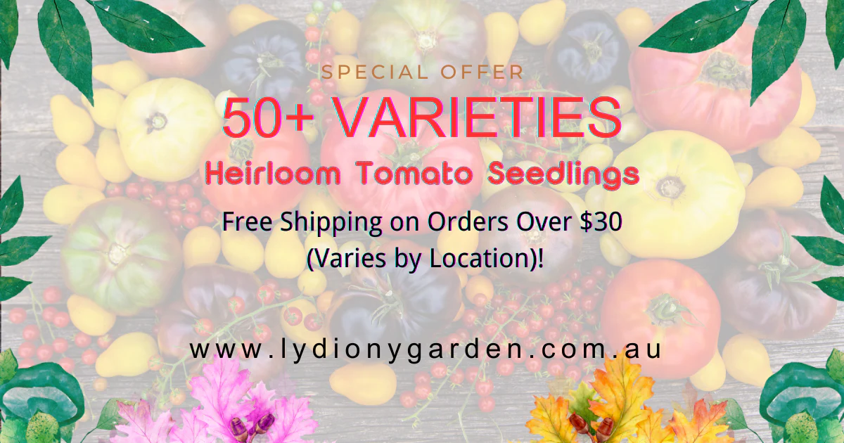 Free Shipping on Orders Over $30 (Varies by Location)!