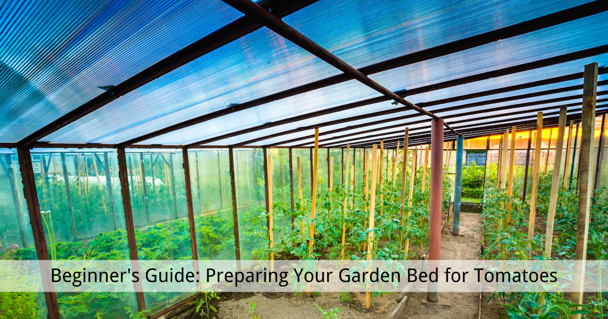 Beginner's Guide:  Preparing Your Garden Bed for Heirloom Tomatoes