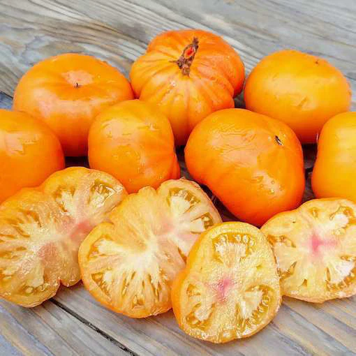 Pre-order: Azoychka - Heirloom Tomato Seeding