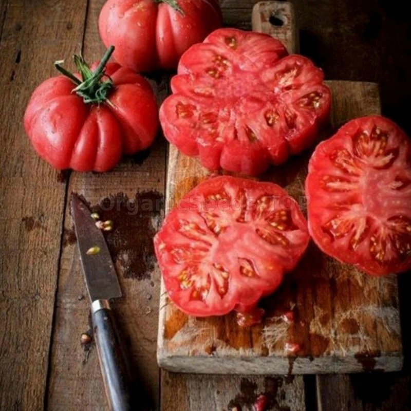 Tomato -  Monte Rosa seeds Image