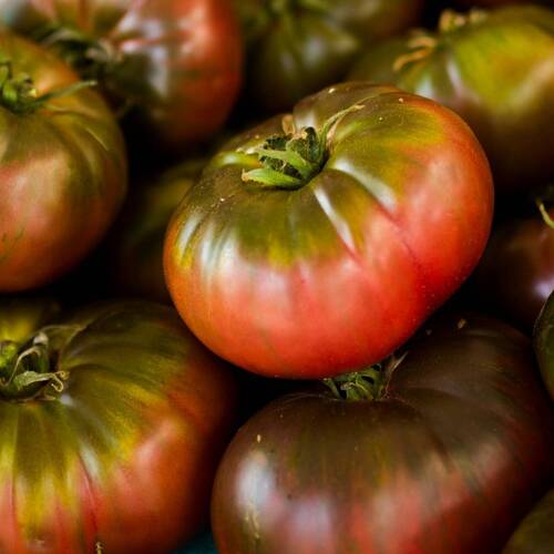 Pre-order: Cherockee Purple - Heirloom Tomato Seeding