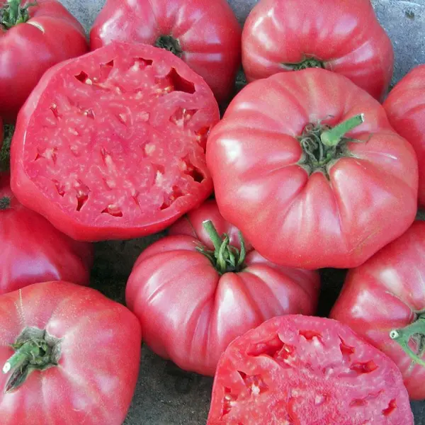 Tomato - Brandywine seeds Image